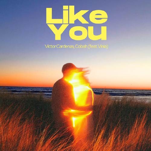 Cinco grandes estrenos musicales latinos